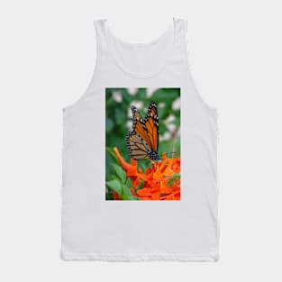 Monarch Butterfly on Cape Honeysuckle Tank Top